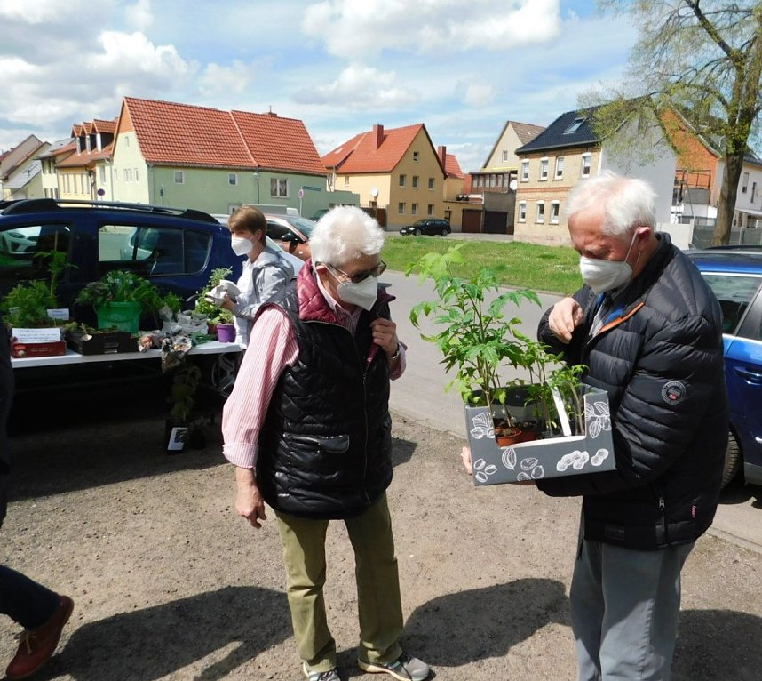 Pflanzentausch in Bad Frankenhausen