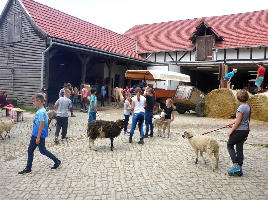Ferien auf dem Erlebnisbauernhof Kleinberndten