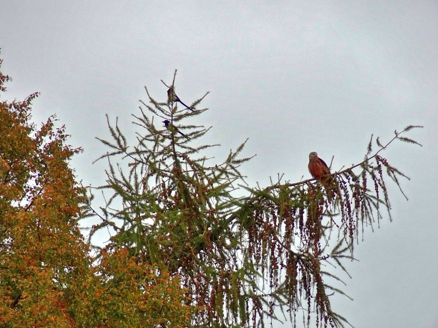 Blick aus dem K&uuml;chenfenster