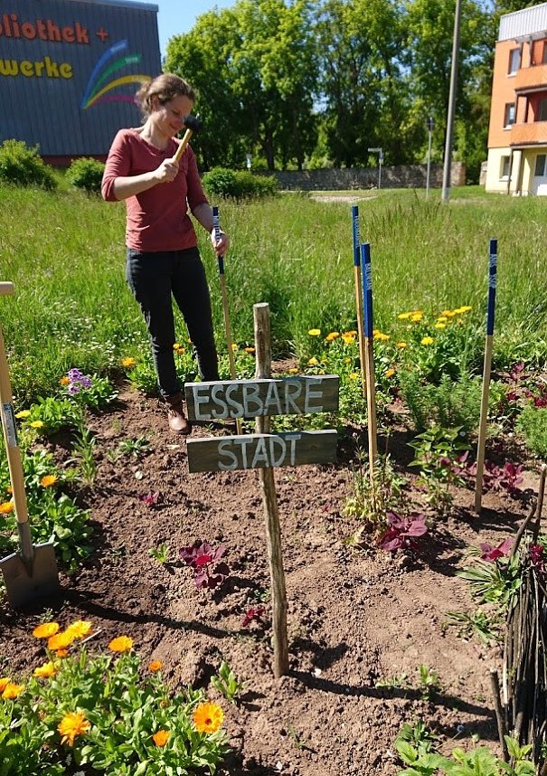 Ein "MILPA"-Beet f&uuml;r Sondershausen