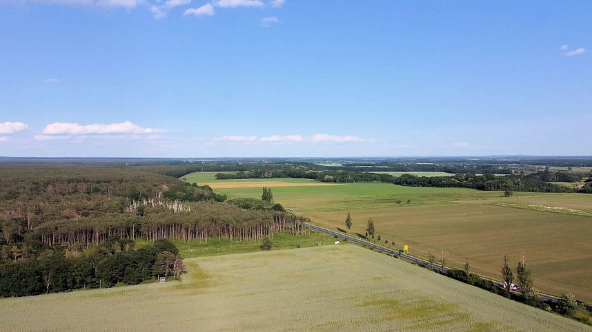 Ausflug zum Muldestausee