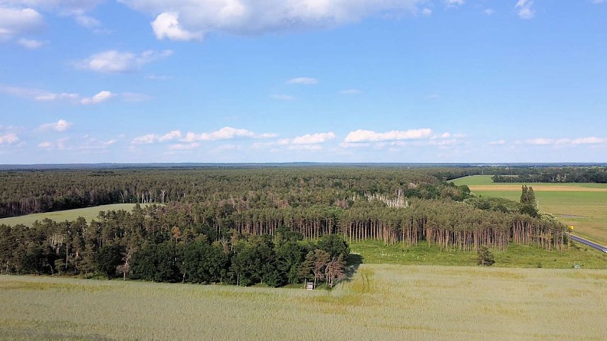 Ausflug zum Muldestausee