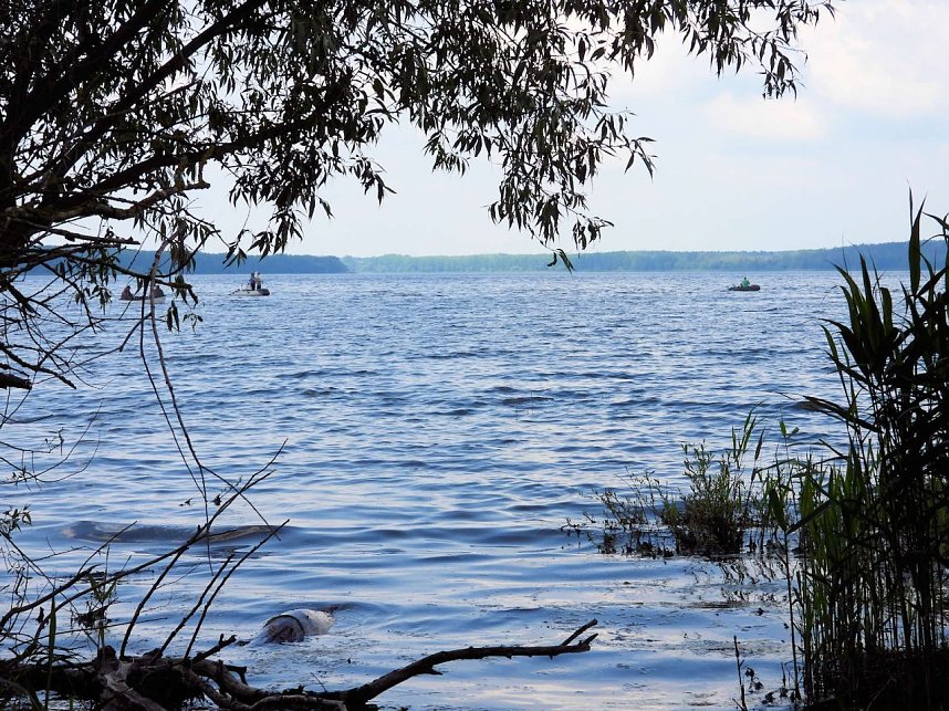 Ausflug zum Muldestausee