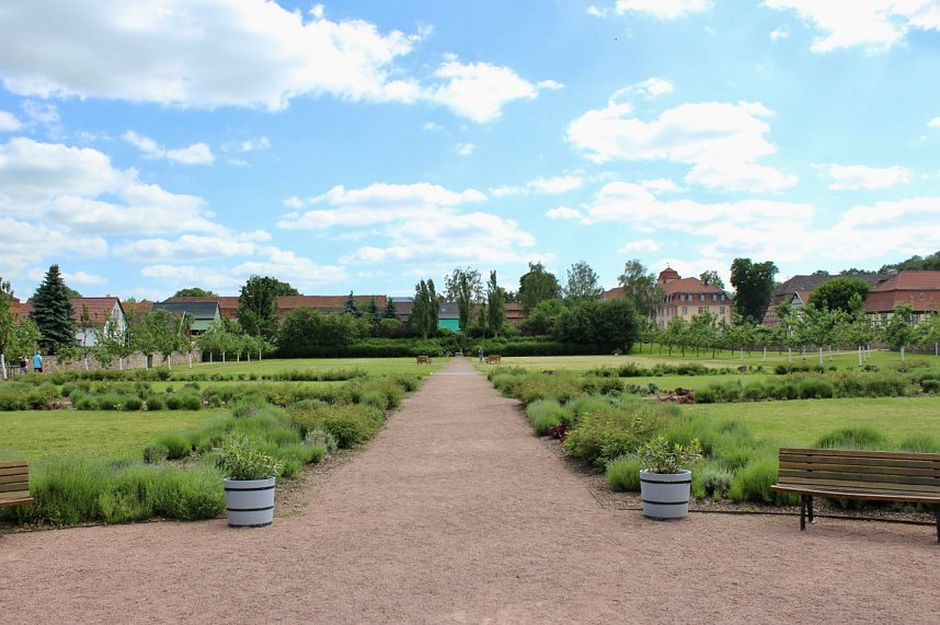 Sonntagsbesuch in der Orangerie in Bendeleben