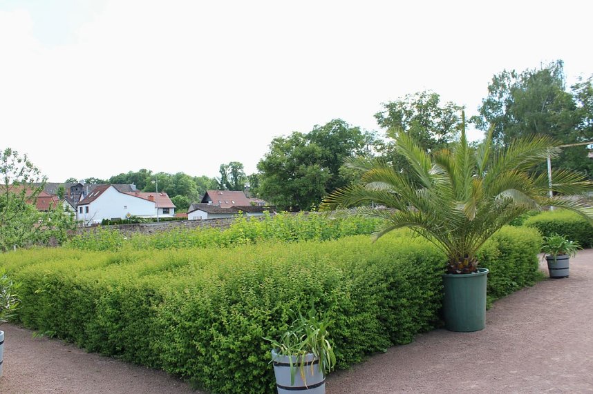 Sonntagsbesuch in der Orangerie in Bendeleben