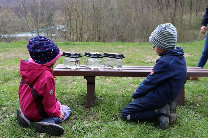 Beobachtungen im Faunarium