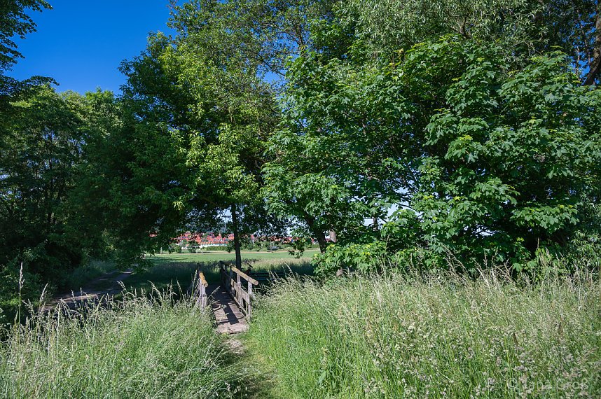 Fotografischer Vorgeschmack auf die Foto-Fahrrad-Wipper-Tour