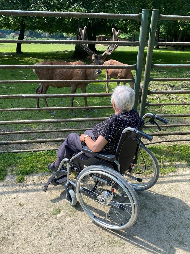 Tagesausflug auf den Possen
