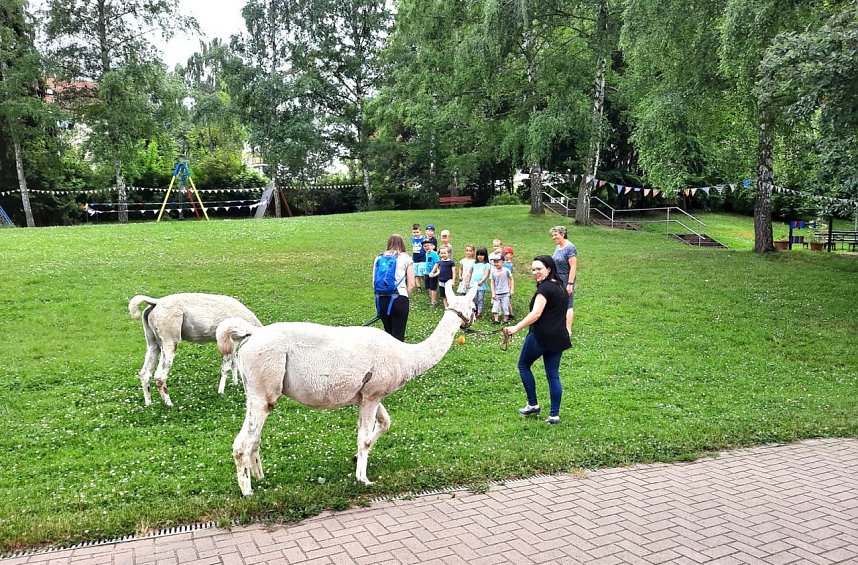 Lamabesuch in der DRK Kindertagesst&auml;tte in Sondershausen