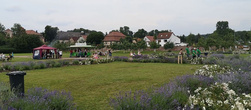 Rosenmarkt in Bendeleben 