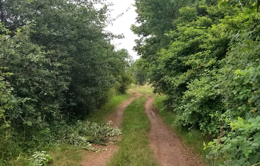 Der Weg ist das Ziel