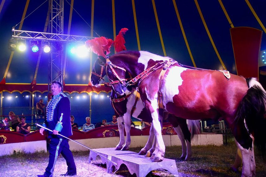 Zirkus Atlantik in Sundhausen