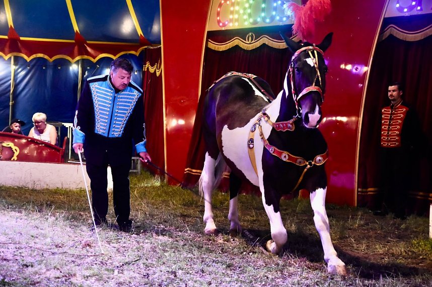 Zirkus Atlantik in Sundhausen