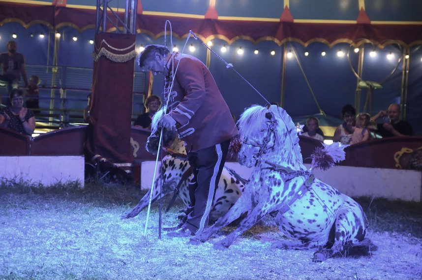 Zirkus Atlantik in Sundhausen