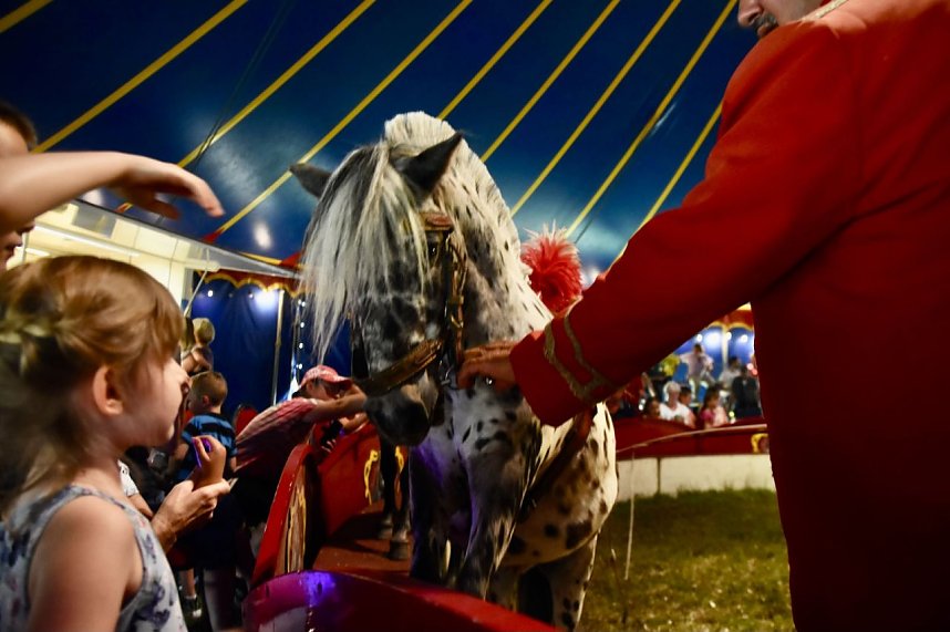 Zirkus Atlantik in Sundhausen