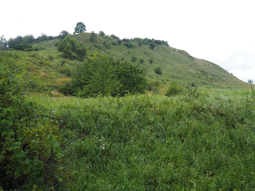 Spaziergang am Stausee