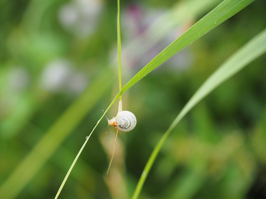 Spaziergang am Stausee