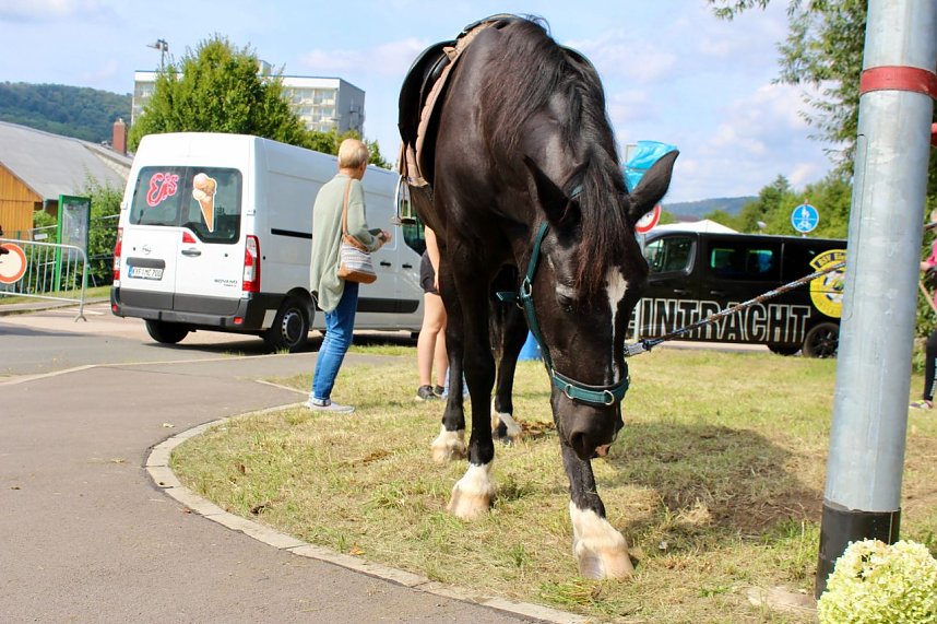 BSV Eintracht Sondershausen feiert 30. j&auml;hriges Jubil&auml;um