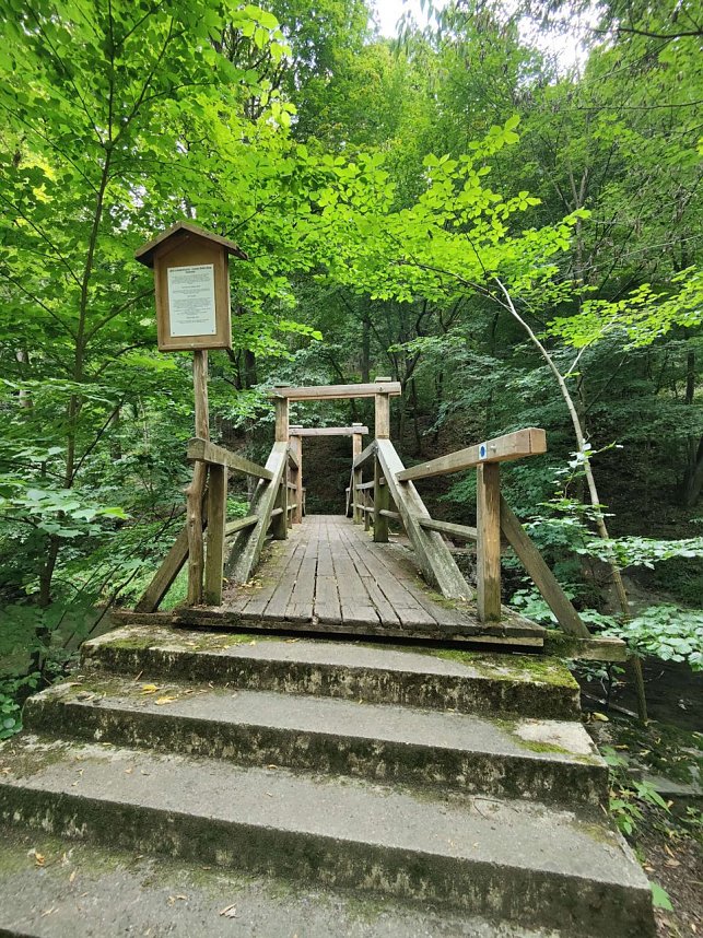 Vom M&auml;gdesprung zum Waldgagsthof