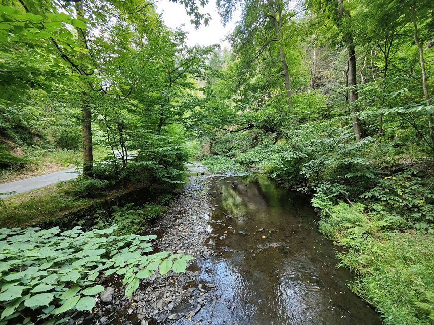 Vom M&auml;gdesprung zum Waldgagsthof