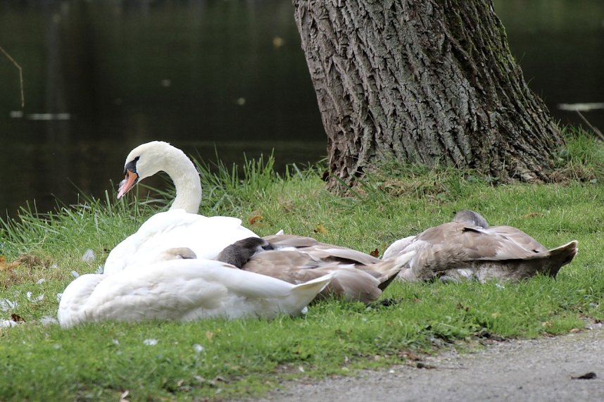 Wasserspiele und Abendlicht