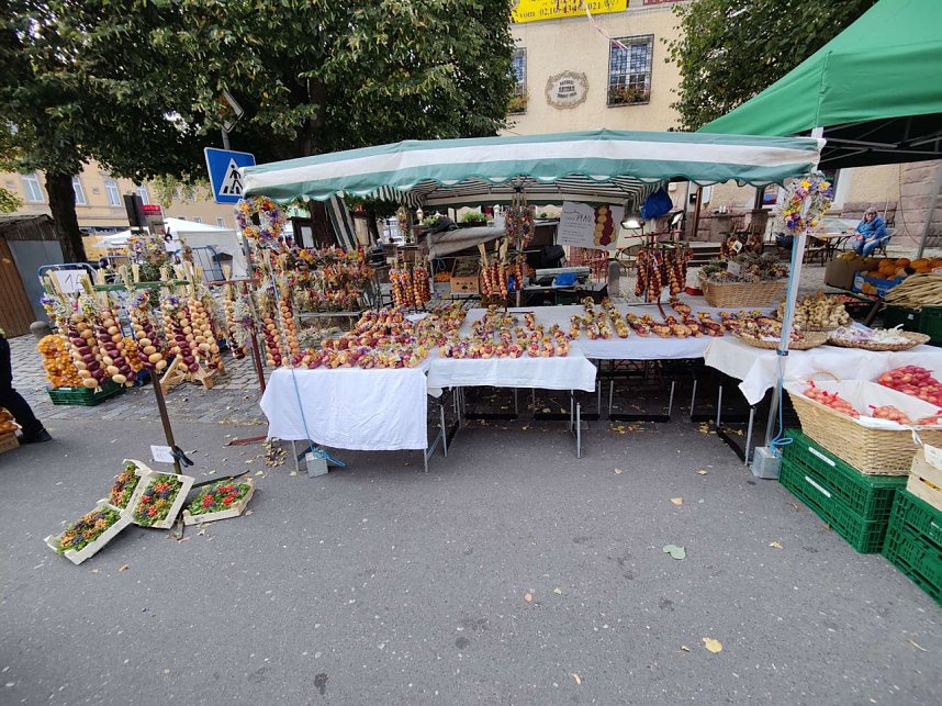 Zwiebelmarkt in Artern