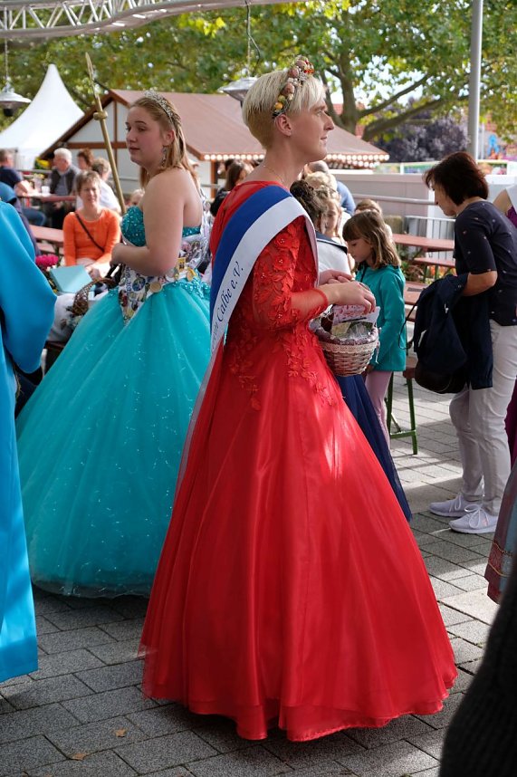 Zwiebelmarkt in Artern
