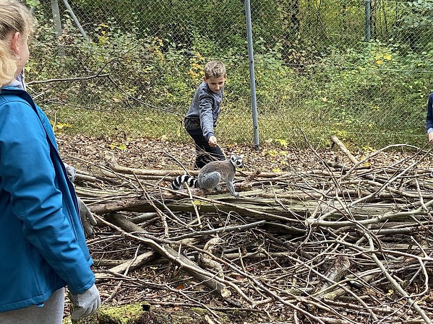Arbeitseinsatz im Affenwald