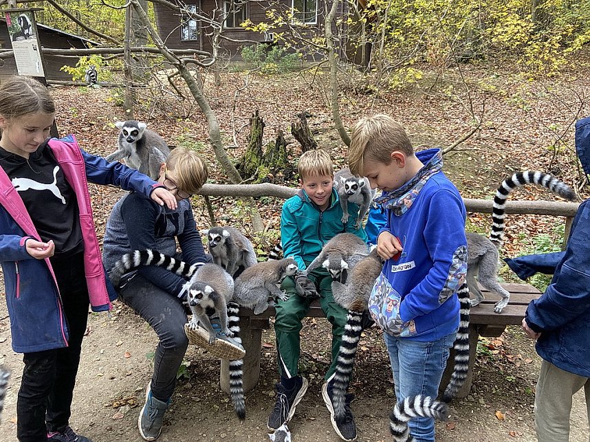 Arbeitseinsatz im Affenwald