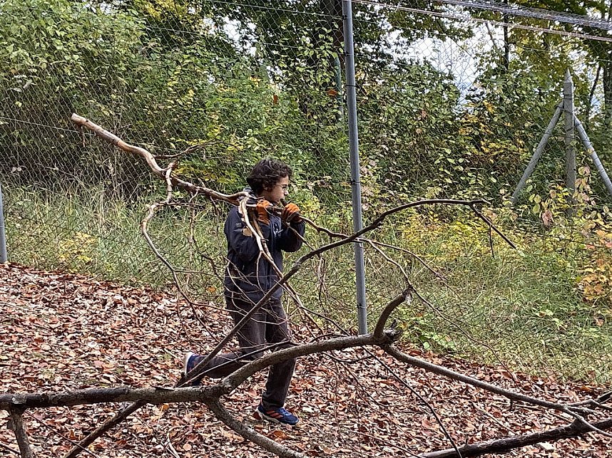 Arbeitseinsatz im Affenwald