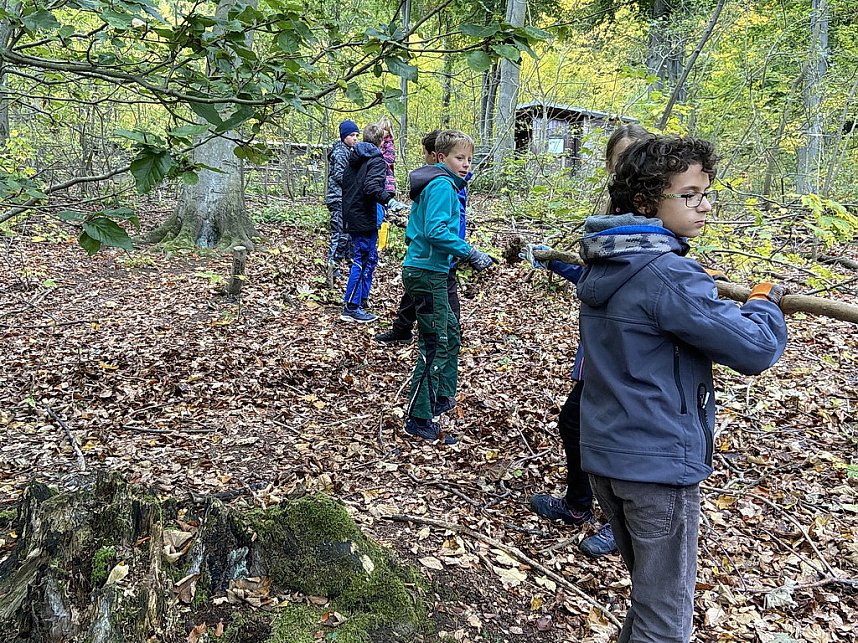 Arbeitseinsatz im Affenwald