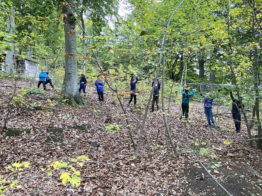 Arbeitseinsatz im Affenwald
