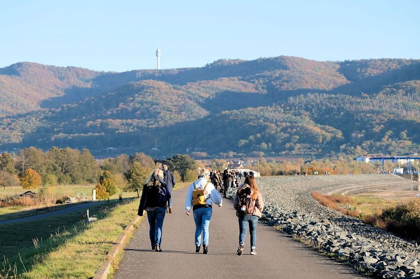 Kranichrast und Menschenauflauf