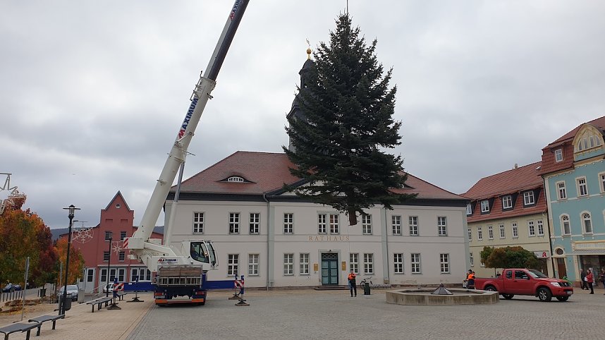 Weihnachtstanne wird von dem Frankenh&auml;user Rathaus aufgestellt