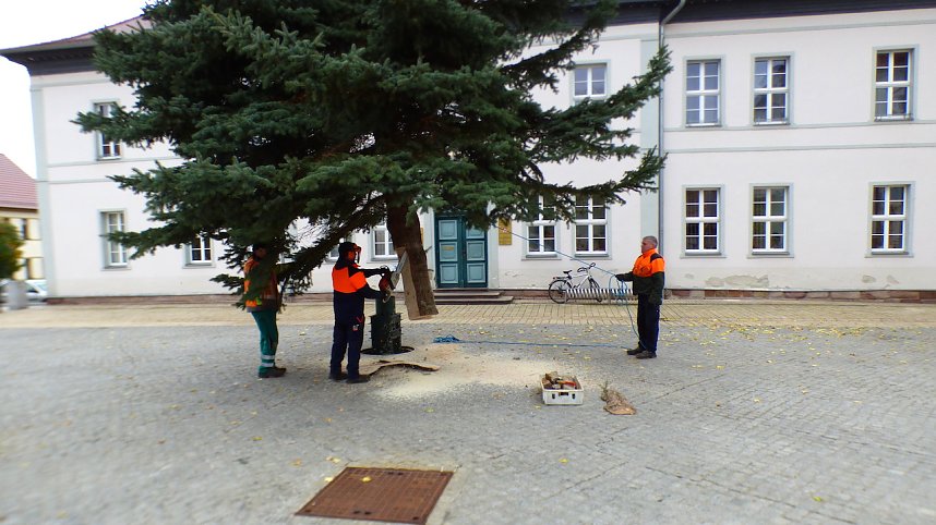 Weihnachtstanne wird von dem Frankenh&auml;user Rathaus aufgestellt