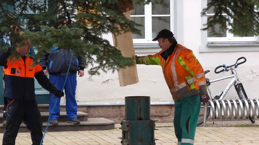 Weihnachtstanne wird von dem Frankenh&auml;user Rathaus aufgestellt