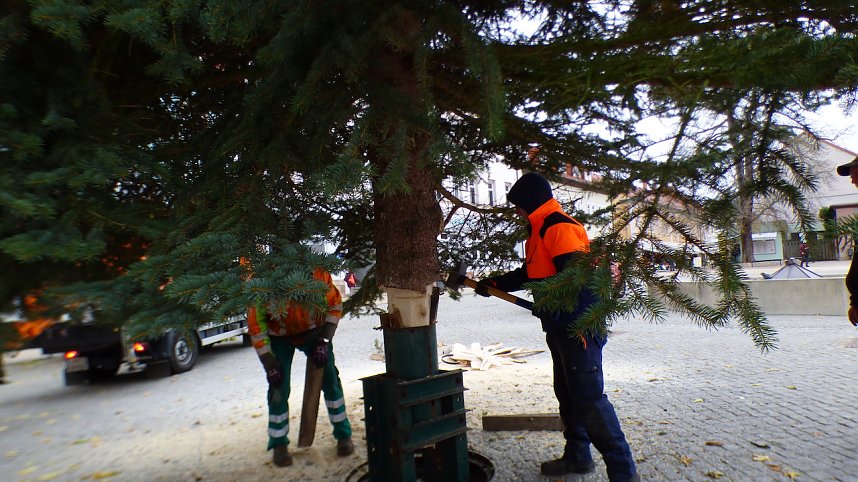 Weihnachtstanne wird von dem Frankenh&auml;user Rathaus aufgestellt