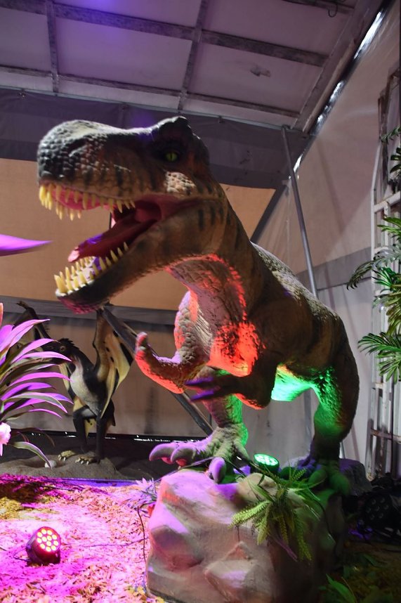 Dinosaurier-Ausstellung