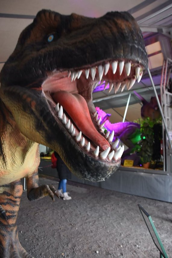 Dinosaurier-Ausstellung