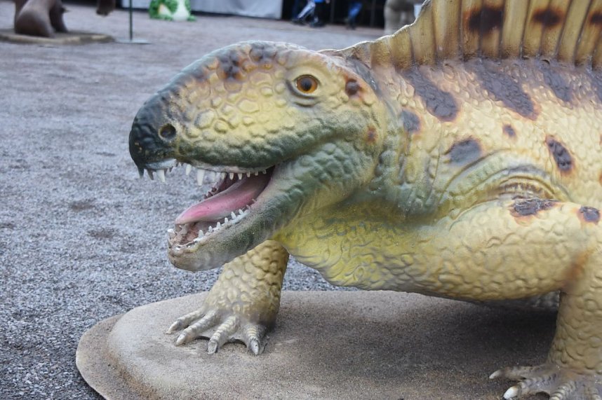 Dinosaurier-Ausstellung