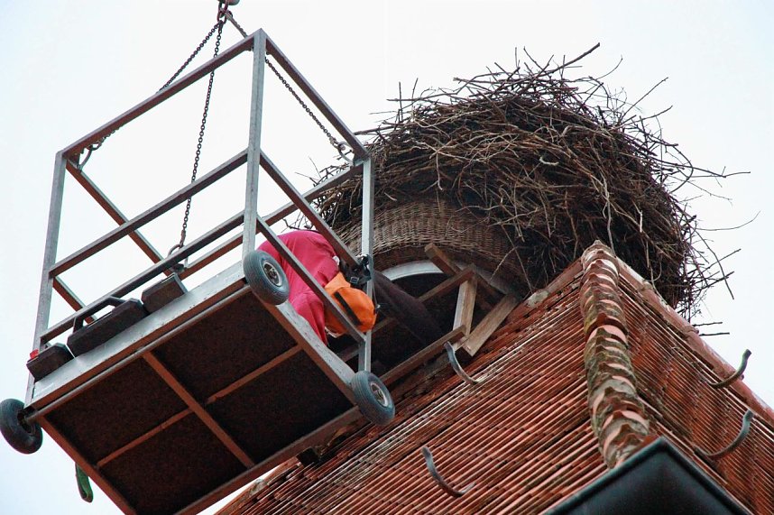 Bauarbeiten am Ringelebener Storchennest