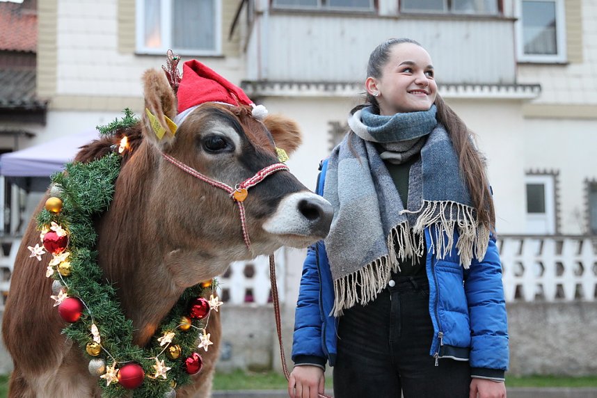 Adventsausflug mit dem Ochsen Tabaluga