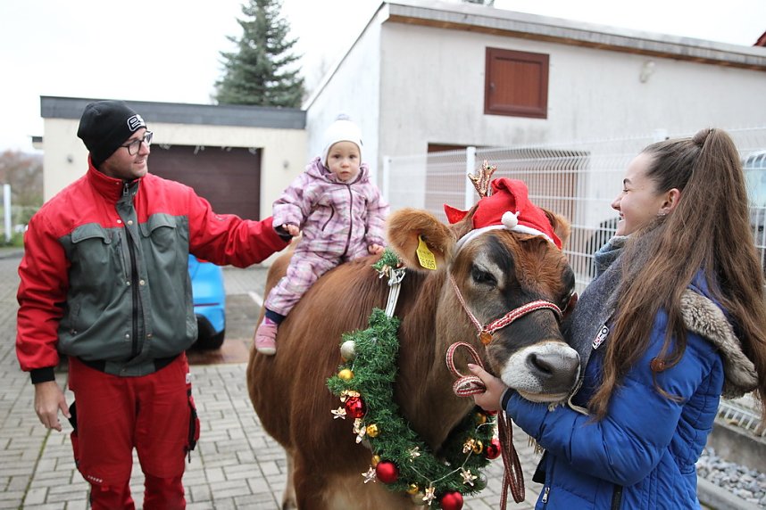 Adventsausflug mit dem Ochsen Tabaluga