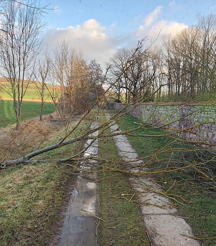 Sturmtief Nadja hinterlie&szlig; nur geringe Sch&auml;den