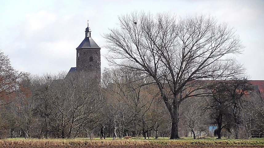 Unterwegs in der Goldenen Aue
