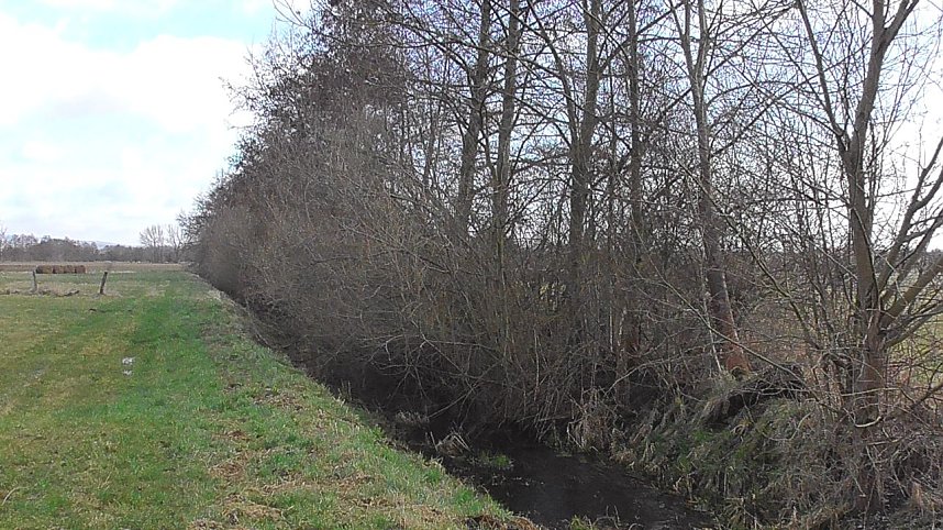 Unterwegs in der Goldenen Aue