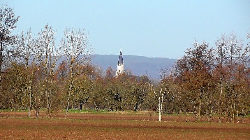 Unterwegs in der Goldenen Aue