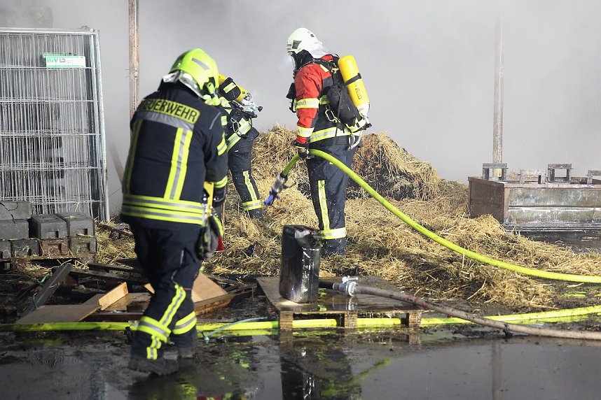 Brand im Greu&szlig;ener Gartencenter