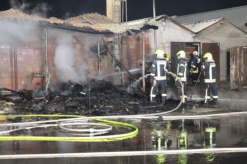 Brand im Greu&szlig;ener Gartencenter
