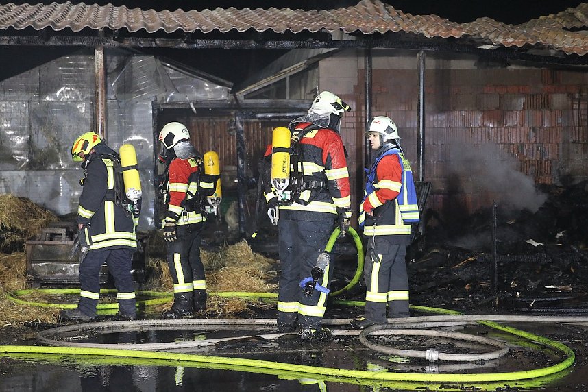 Brand im Greu&szlig;ener Gartencenter